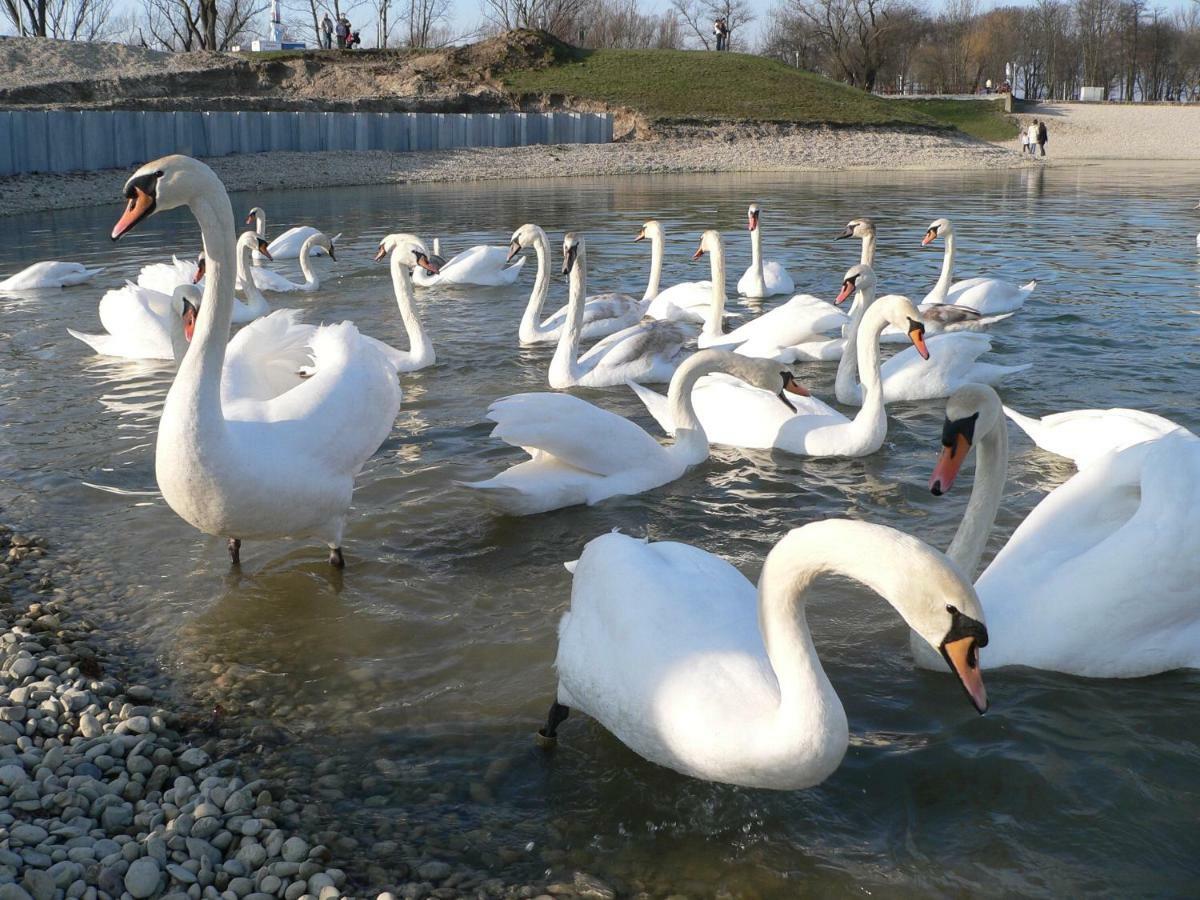 Calla Apartment Zagreb - Novi Apartman, Garaza, Video Nadzor Dış mekan fotoğraf